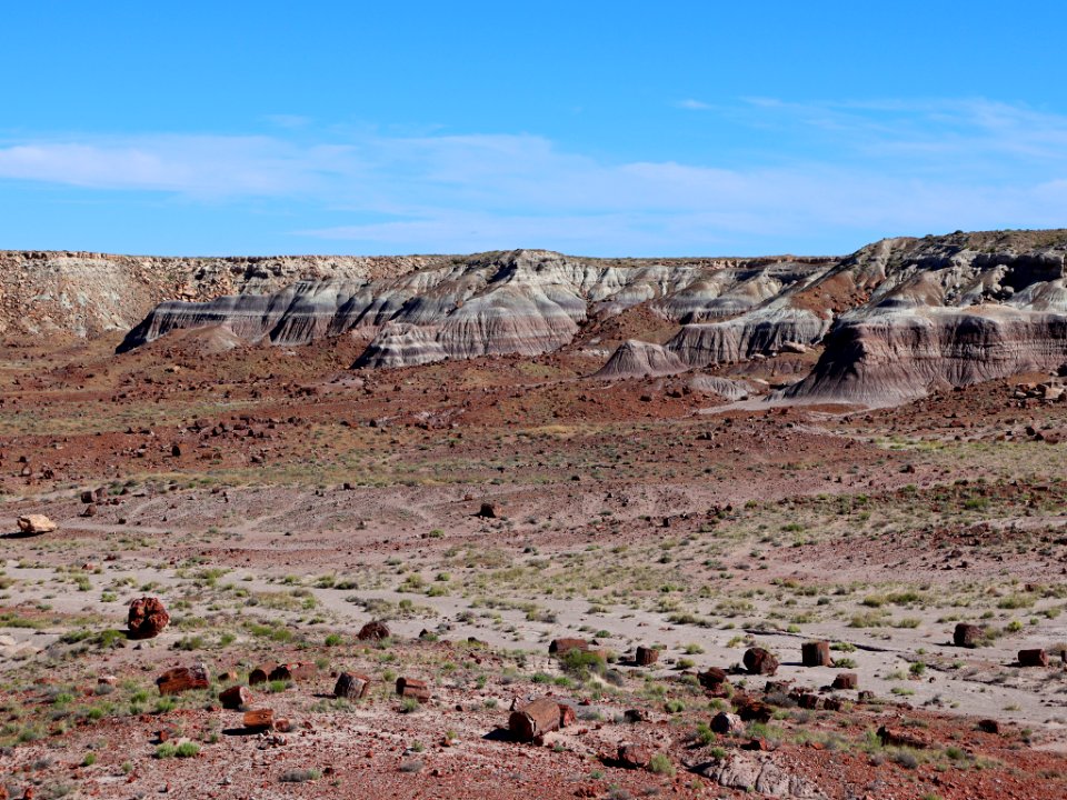 Petrified Forest NP in AZ