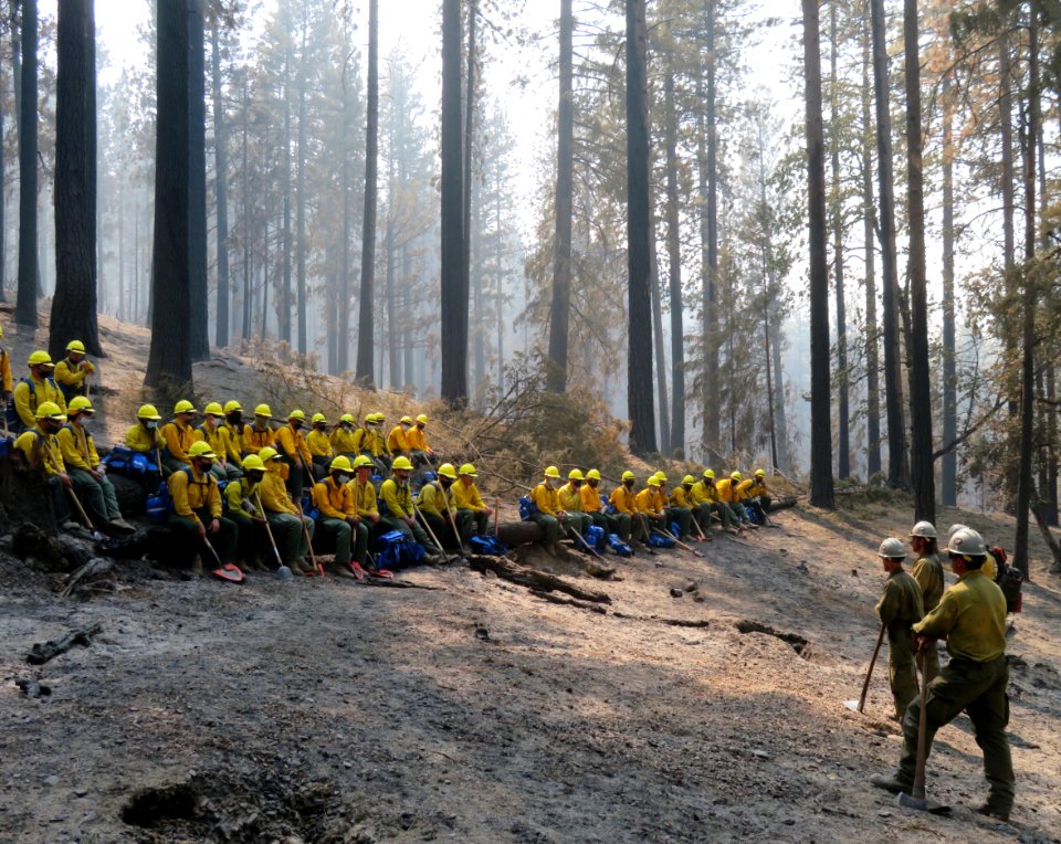 BLM Veterans Train the Military