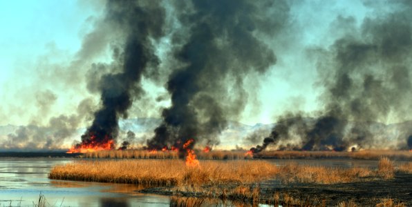 2020 Photo Contest: Land We Protect