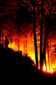 BLM Fire and Aviation Photo Contest 2020
