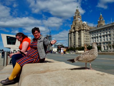 Pierhead