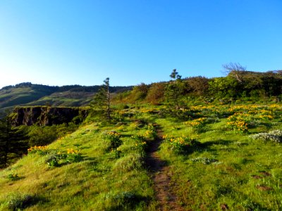 Rowena Crest in OR photo