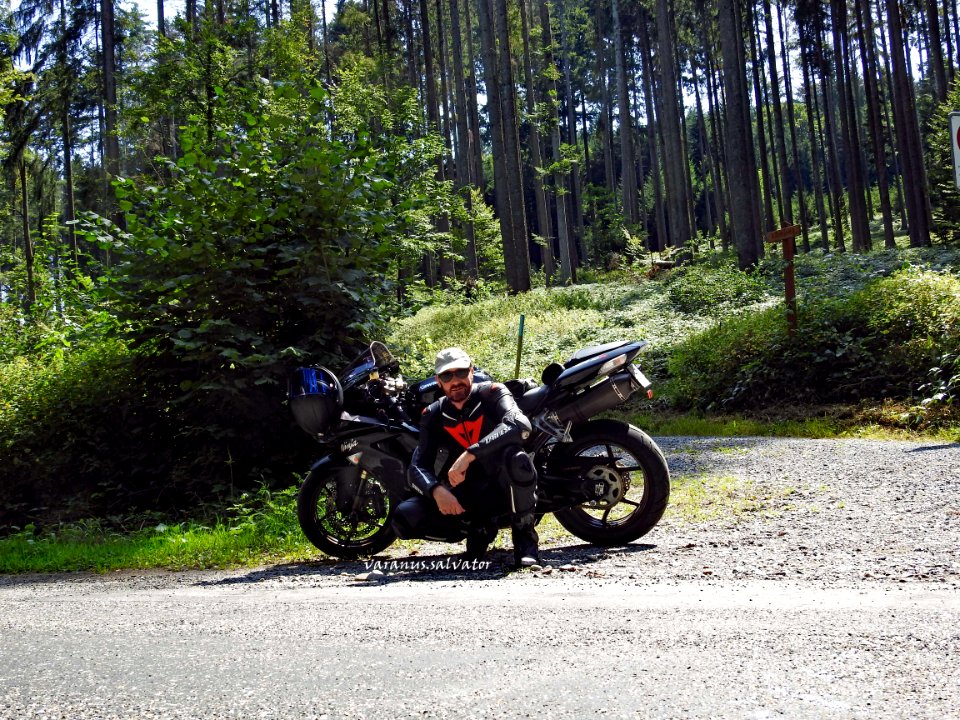 Summer 2019: in the forest.