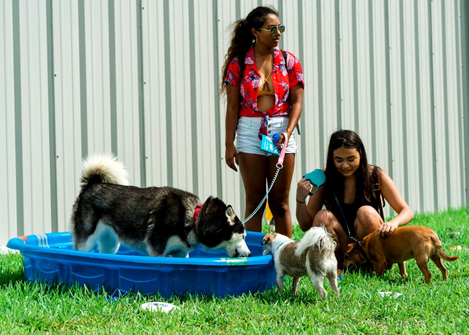 Turn up with your PUP-17