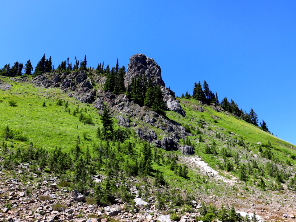 Tatoosh Ridge in WA