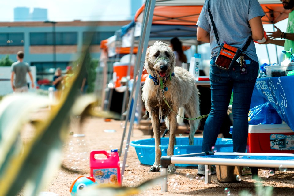 Turn up with your PUP-40