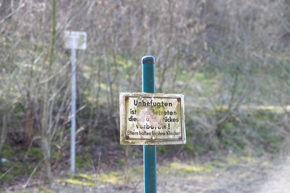 DSC 7353
