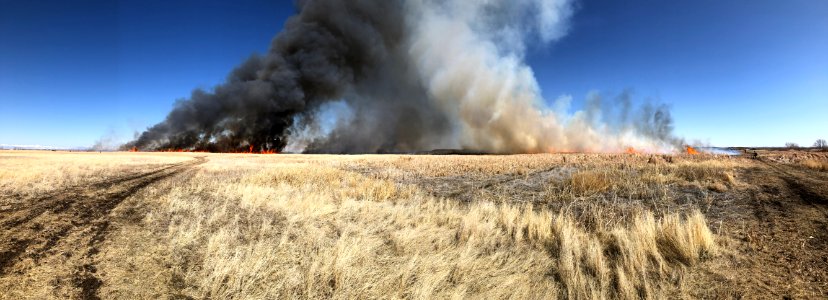 Market Lake Prescribed Fire