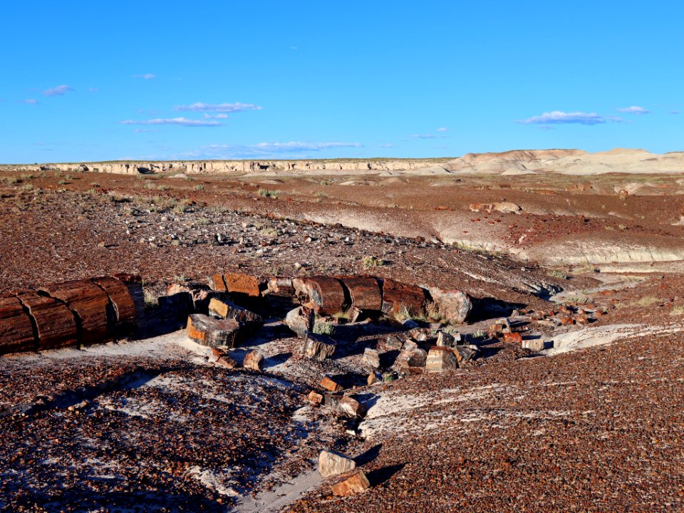 Petrified Forest NP in AZ