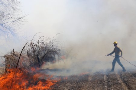 Leavitt Prescribed Fire