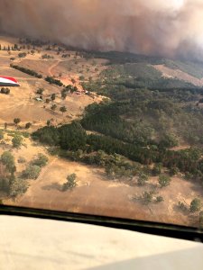Australia Bush Fires photo