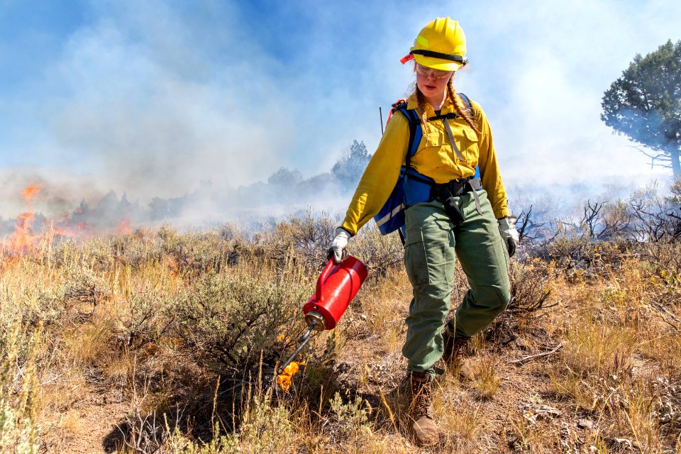 Trout Spring Prescribed Fire