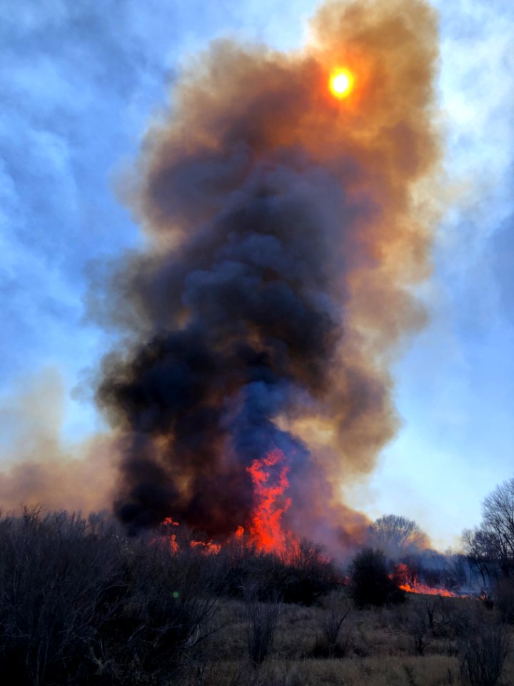 Walker Levee Fire