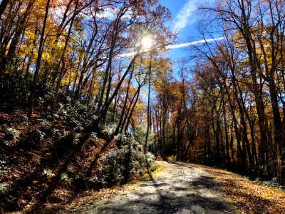 20181104-FS-Monongahela-KMB-566
