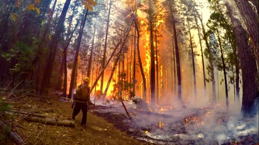 BLM Fire and Aviation Photo Contest 2020