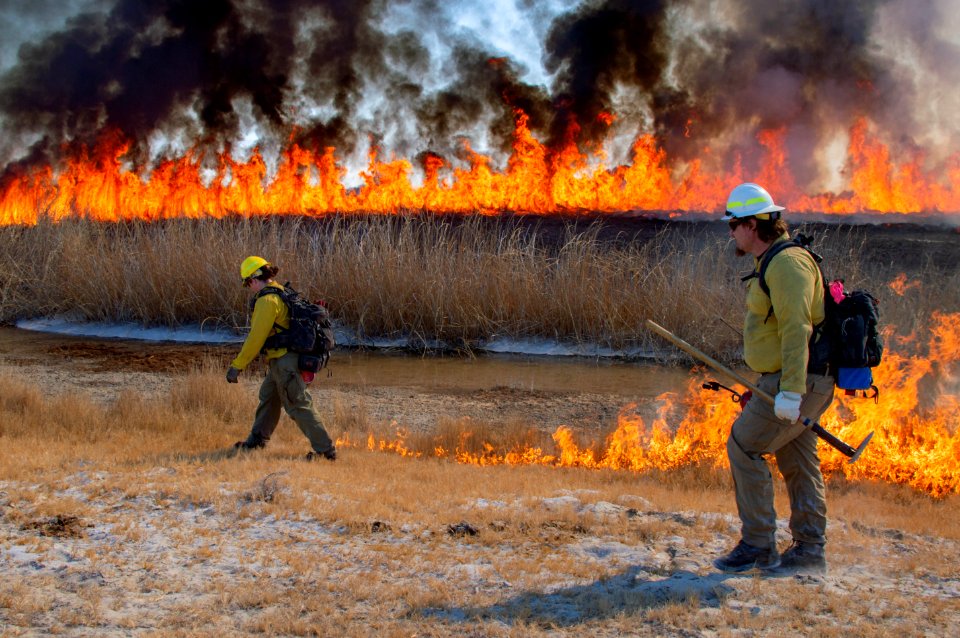 BLM Fire and Aviation Photo Contest 2020
