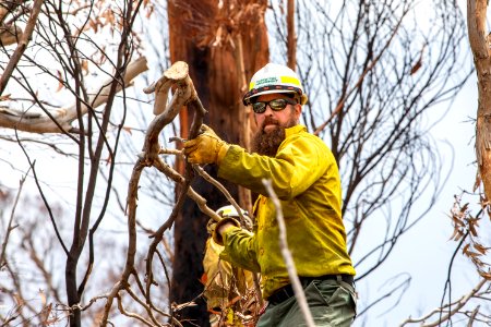 US firefighters in Australia