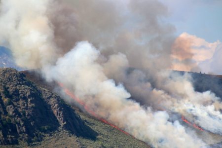 Museum Fire
