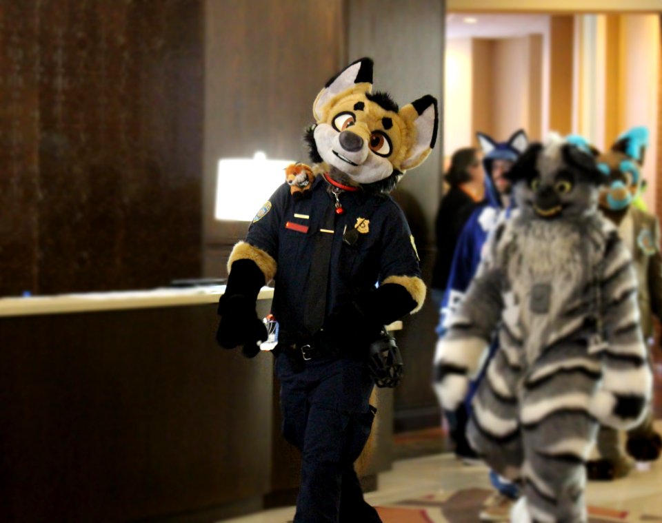 FurTheMoore2019 jv 11