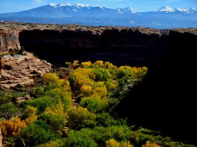 2020 Photo Contest: Land We Protect