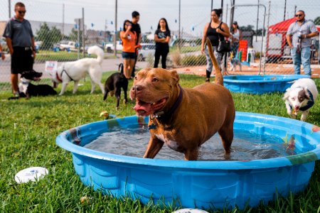 Turn up with your PUP-81