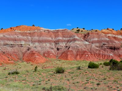 Landscape in New Mexico
