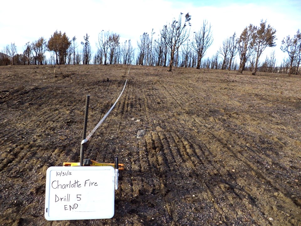 Seeding Project