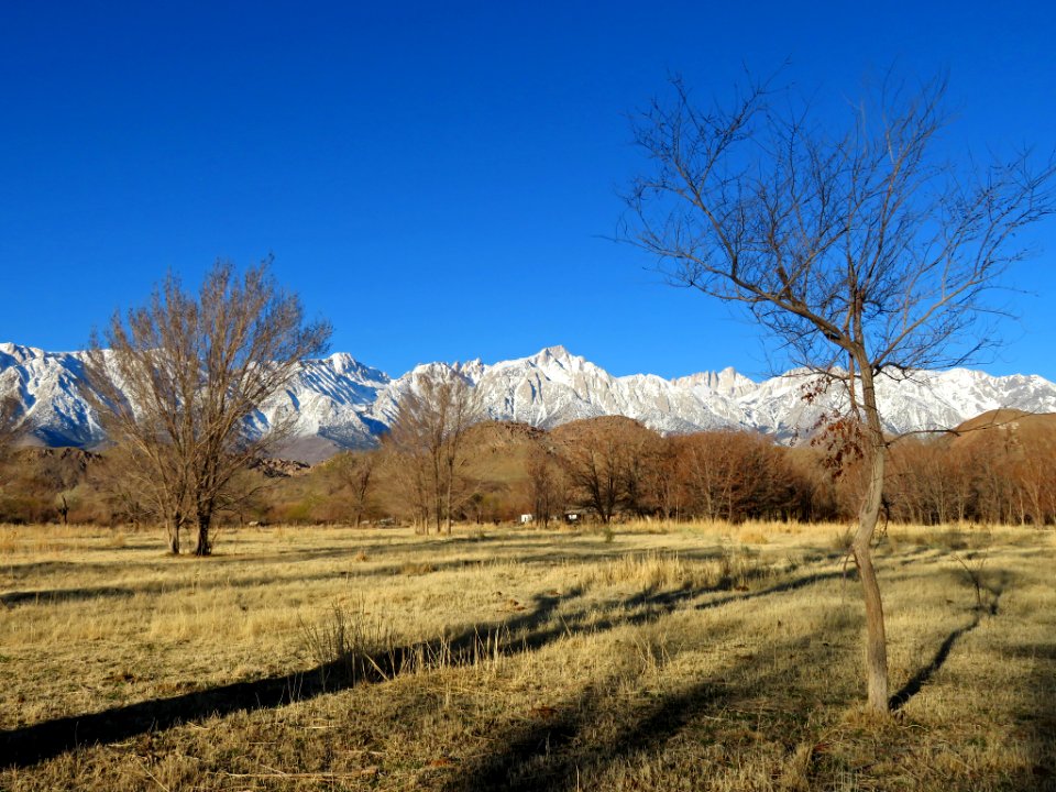 Sierra Nevada in CA