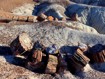 Petrified Forest NP in AZ