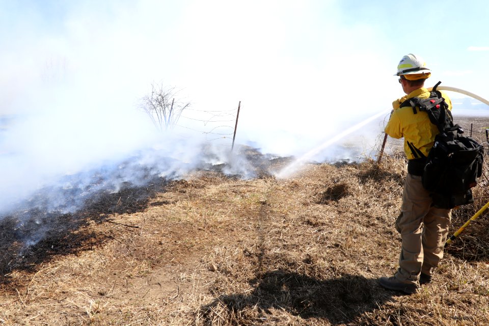 Leavitt Prescribed Fire