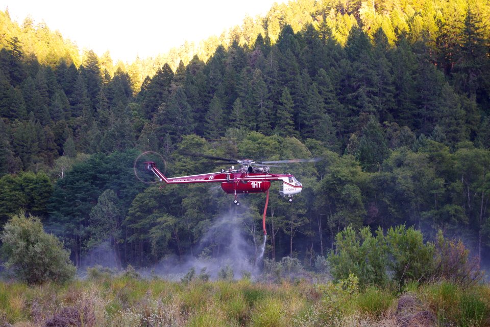 Red Salmon Complex