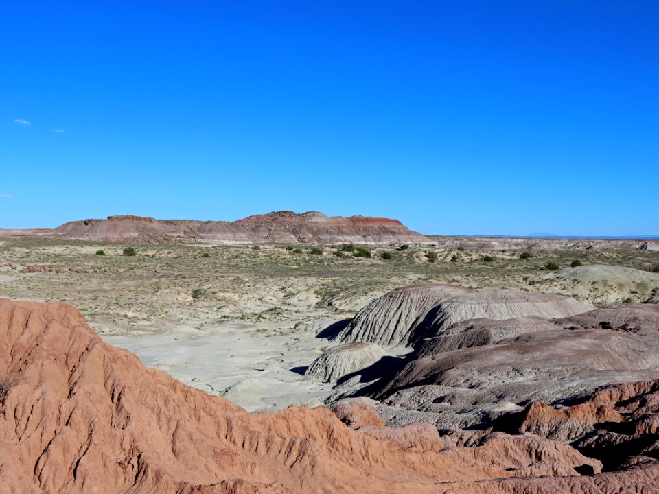 Petrified Forest NP in AZ