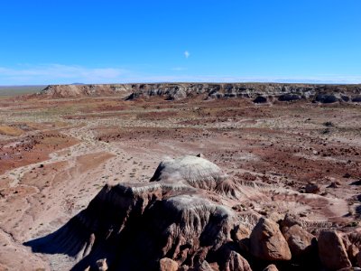 Petrified Forest NP in AZ photo
