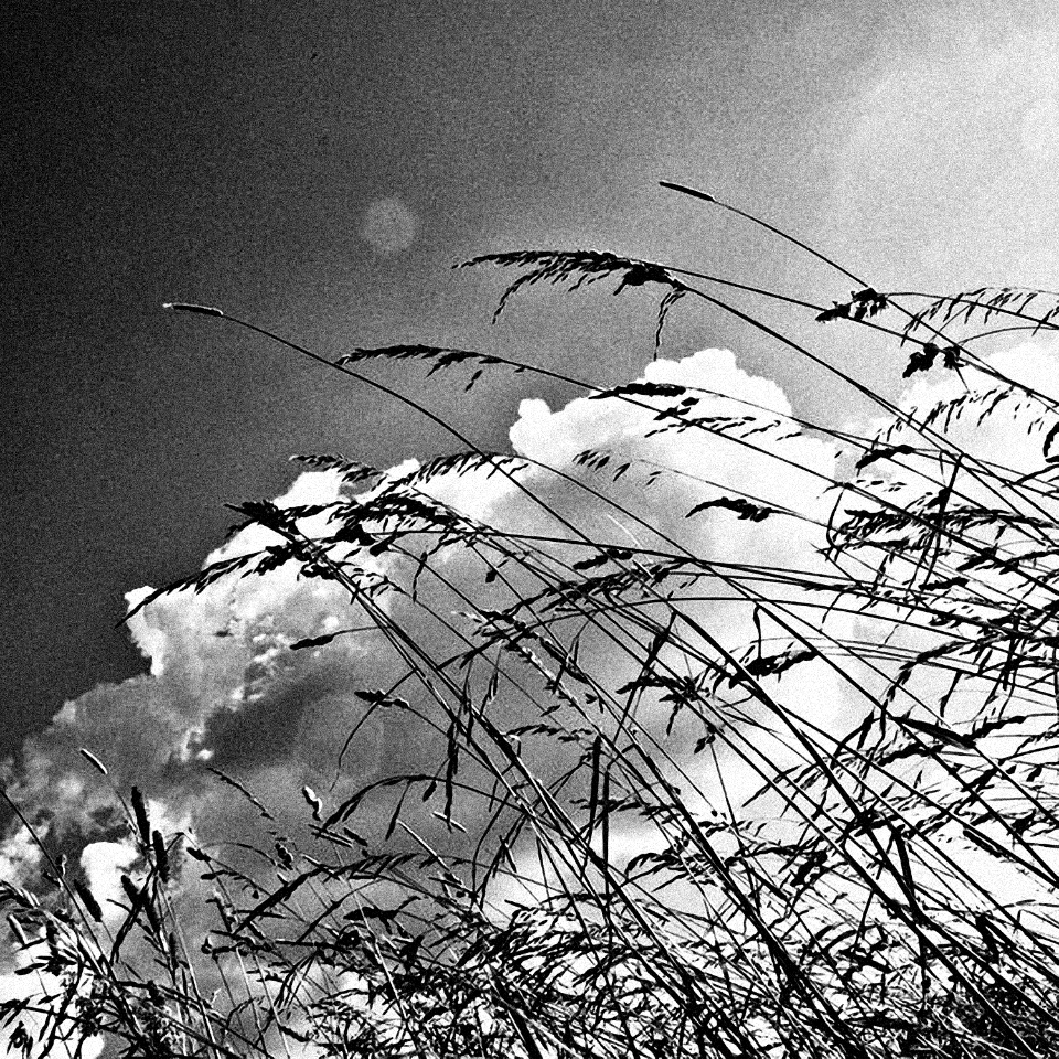 summer sky in sepia by mirop-d2z67u8