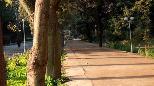 Jogging track