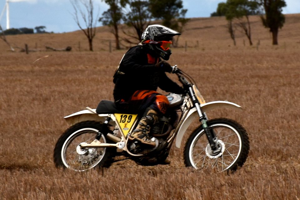 DSC 0200