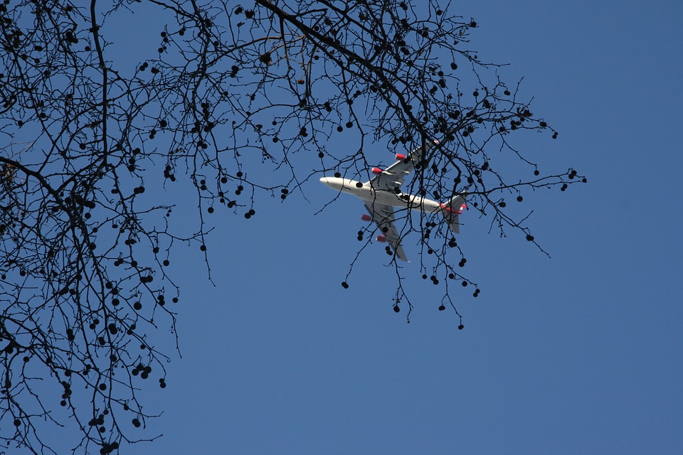 Blue air vehicle