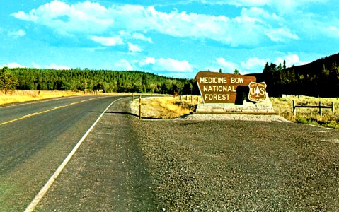 Medicine Bow National Forest Entrance, Wyoming.
