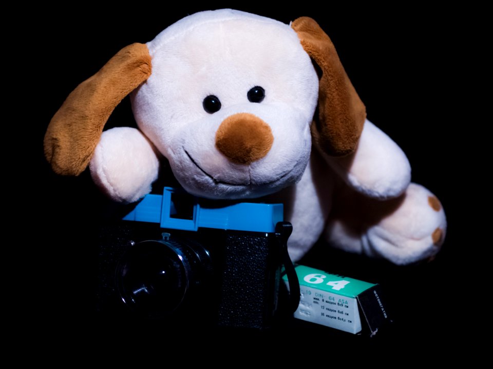 Funny puppy and Diana F+