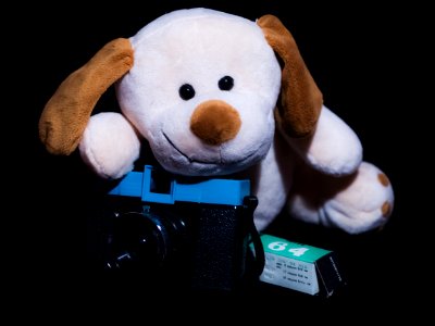 Funny puppy and Diana F+ photo