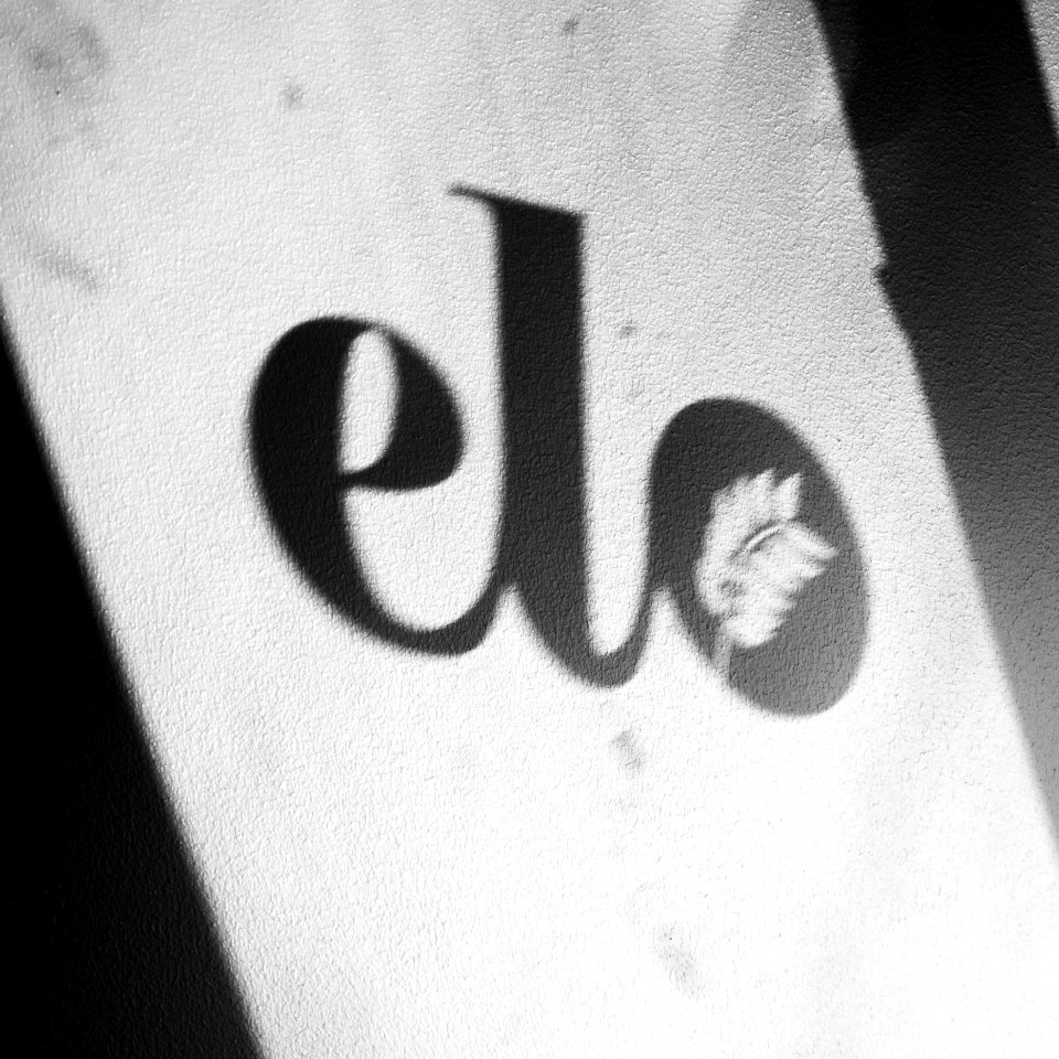 ELO