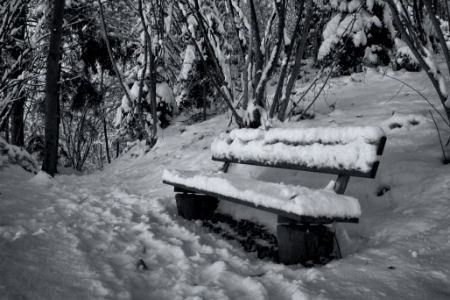 snowy bench in park