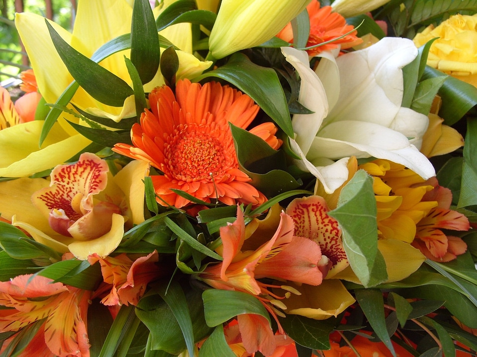 Flower bunch of flowers spring
