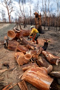 US firefighters in Australia