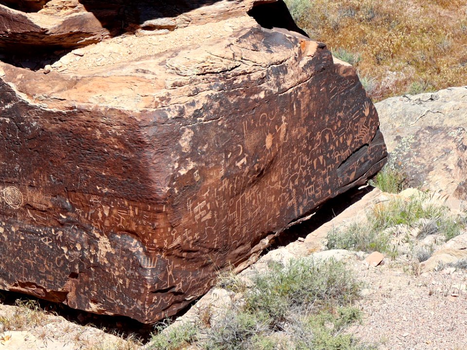 Newspaper Rock at Petrified Forest NP in AZ