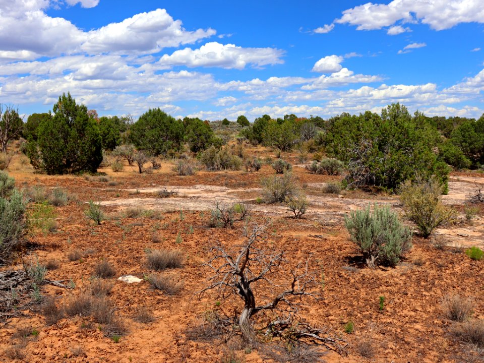 Hovenweep NM in UT