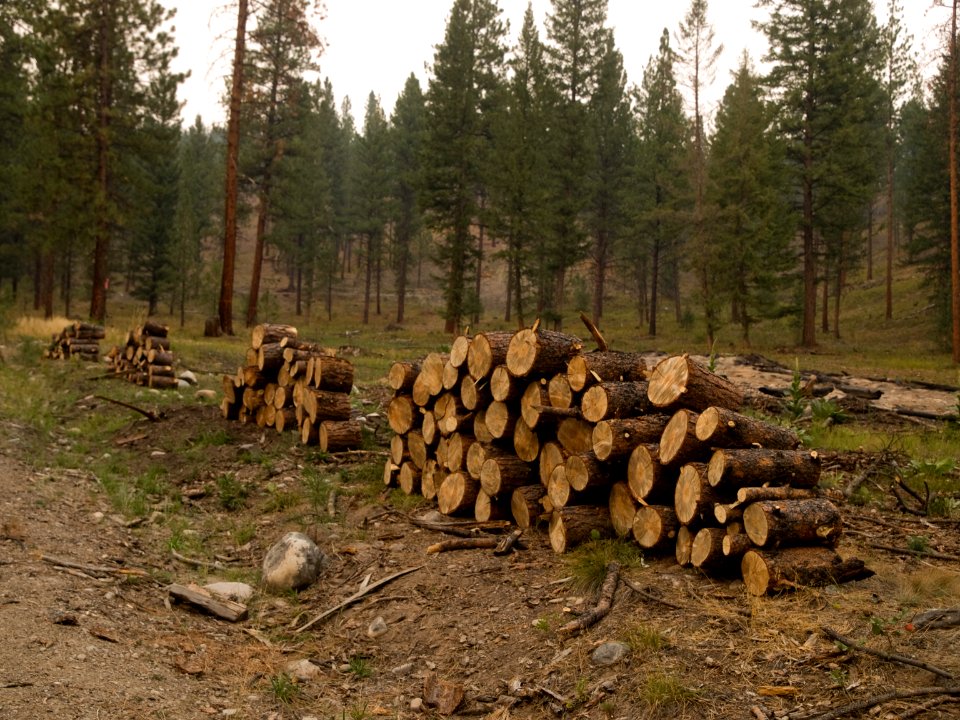 Excess Fuels are Piled on the Mustang Complex