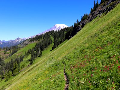 Tatoosh Ridge in WA