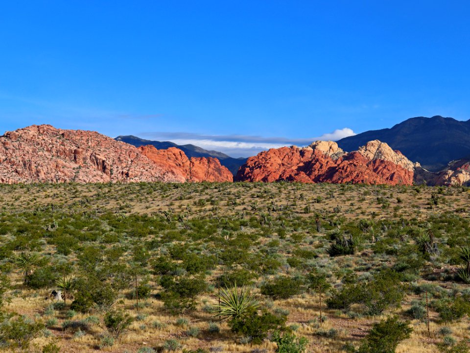Red Rock Canyon in NV