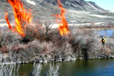 Wright Island Prescribed Burn photo